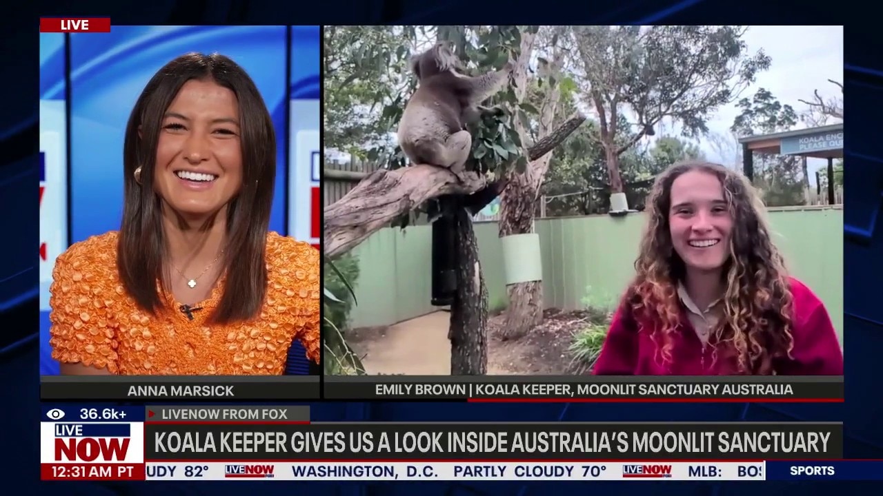 A look inside of Australia's Moonlit Sanctuary