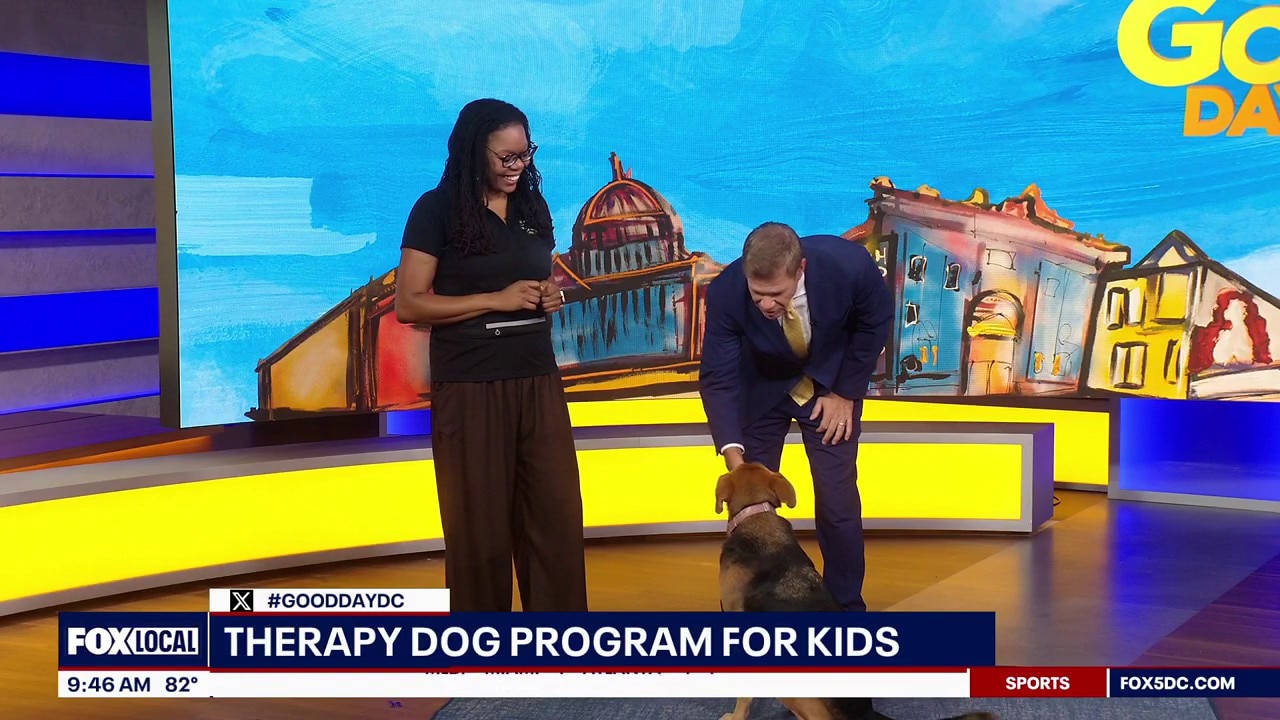 Therapy dog program for kids