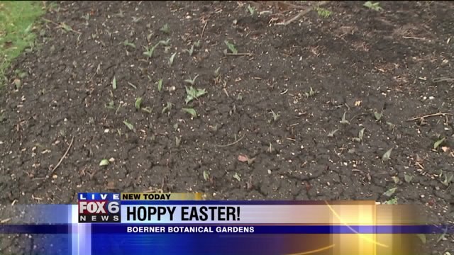 Easter Brunch at Boerner Botanical Gardens: Mouthwatering breakfast treats, fun for the whole family during