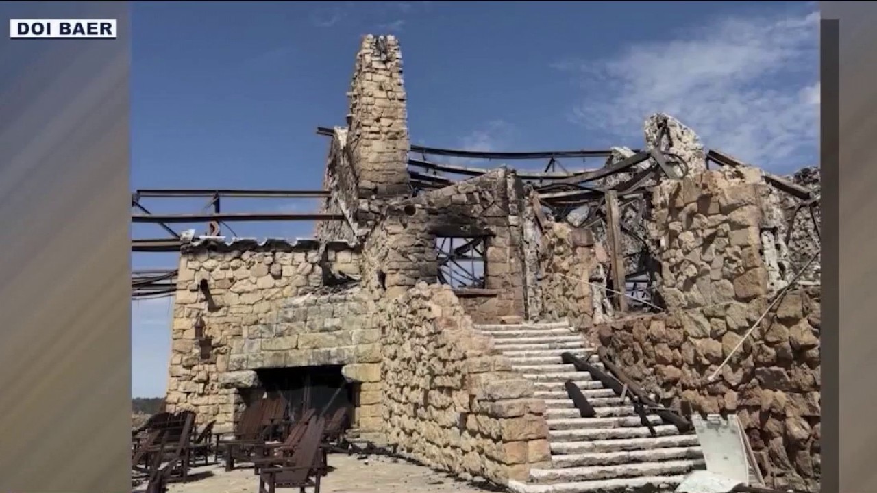 Guide shares insights into Dragon Bravo fire damage
