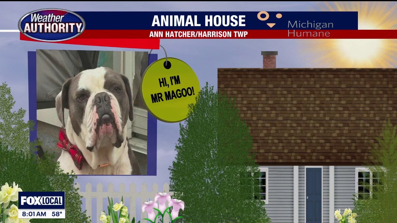 Welcome Lexi, Athen, Mr Magoo