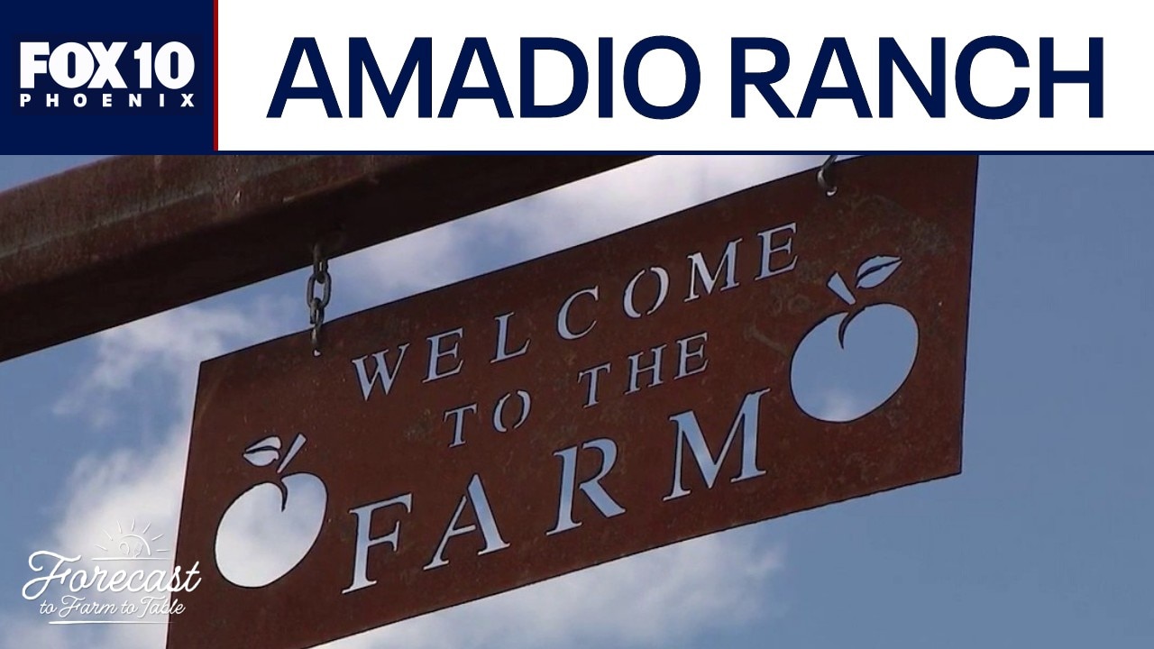 Amadio Ranch l Forecast to Farm to Table