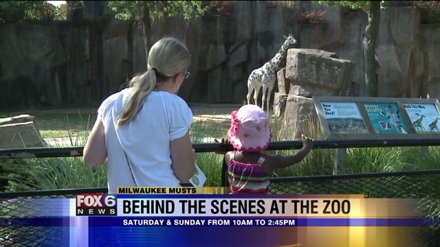 Looking for something fun to do this weekend? Here are some fun events taking place