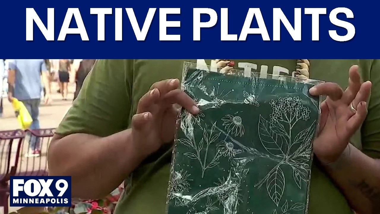 MN State Fair: Learning about native plants