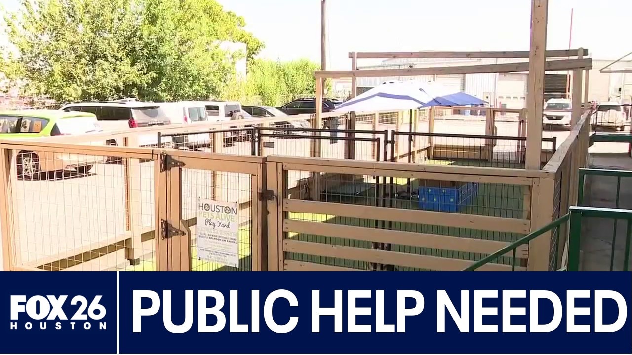 Houston Pets Alive in need of new play yard