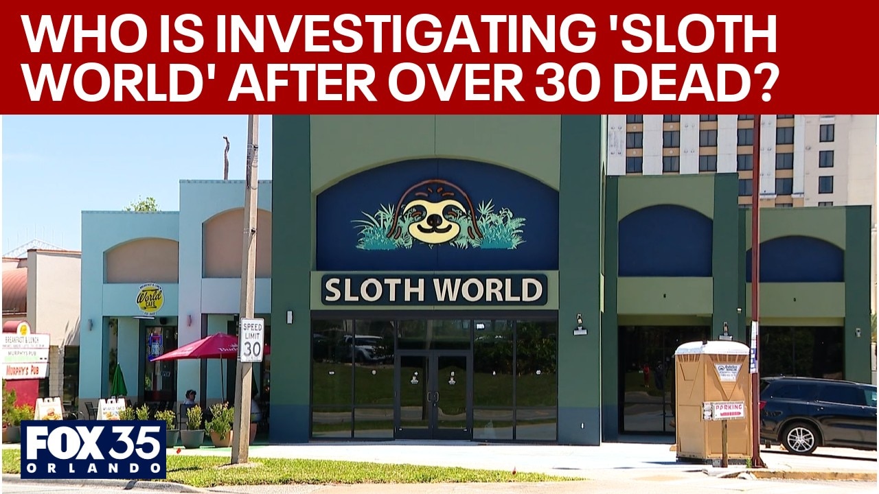 Who is investigating 'Sloth World' after over 30 dead? 