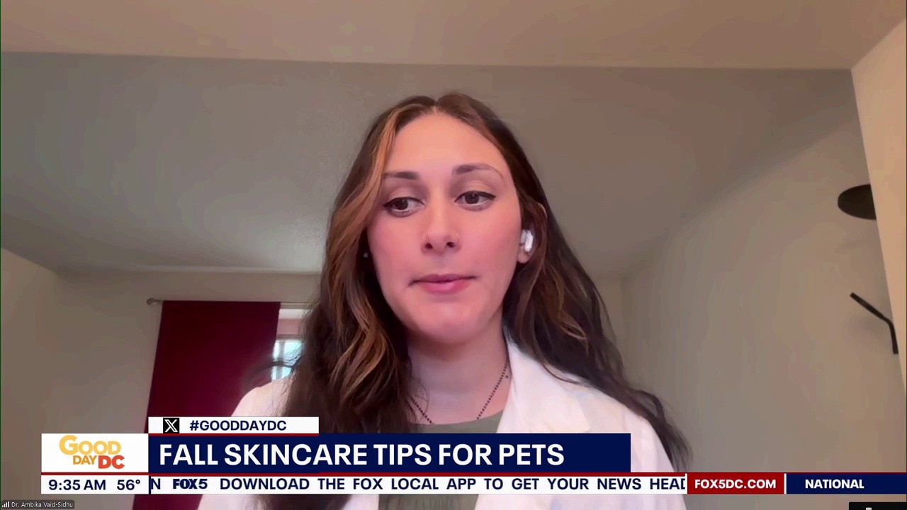 Skincare For Your Pets