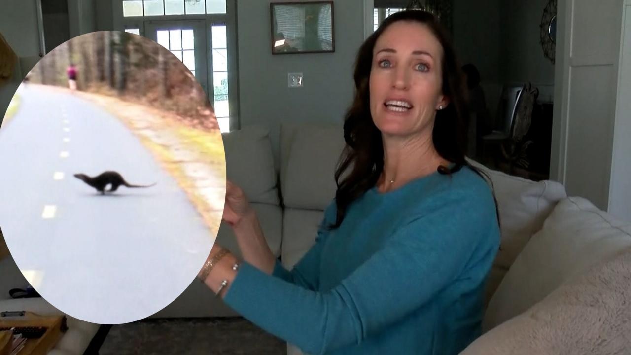 Woman claims otter attacked her at Durham park