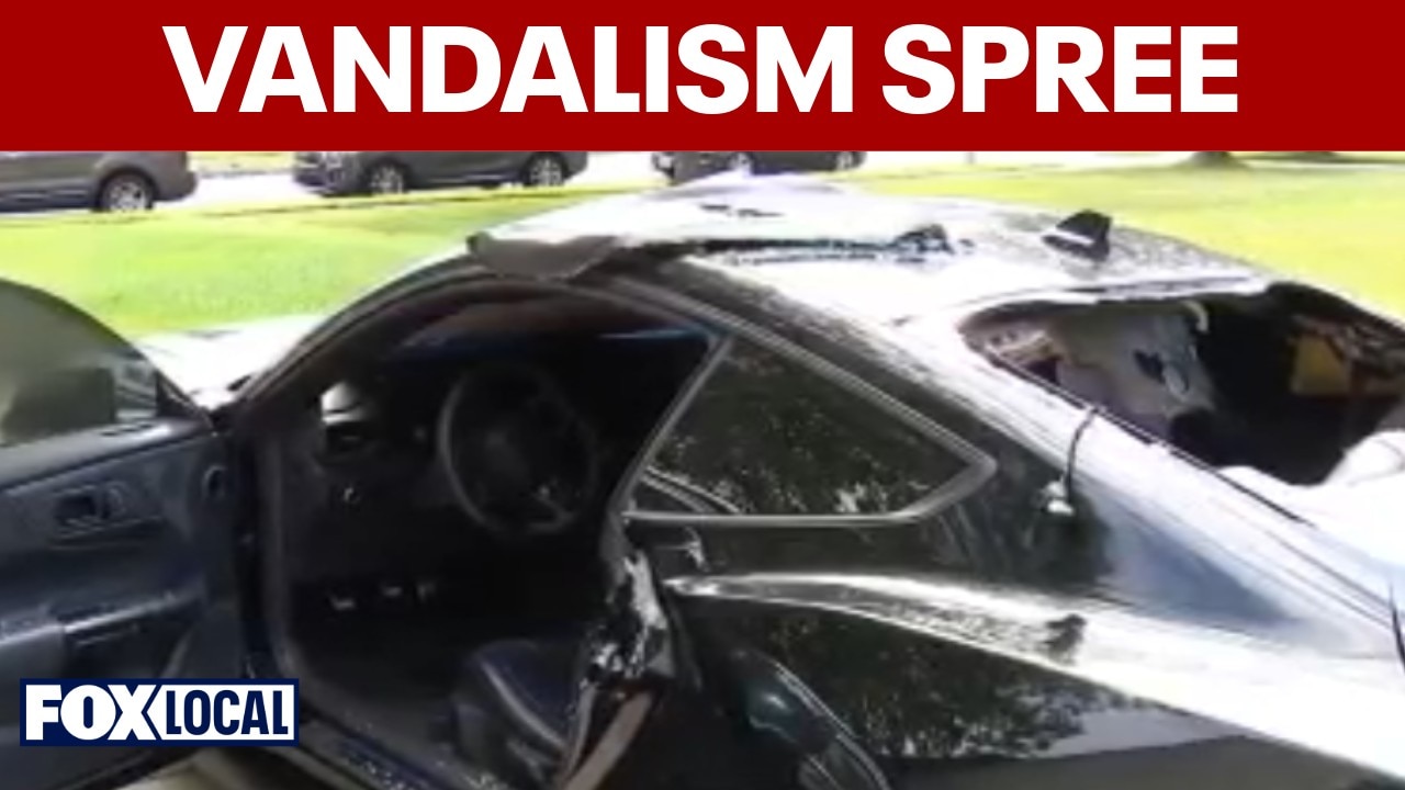 Police charge 19-year-old in Washington Township car vandalism spree