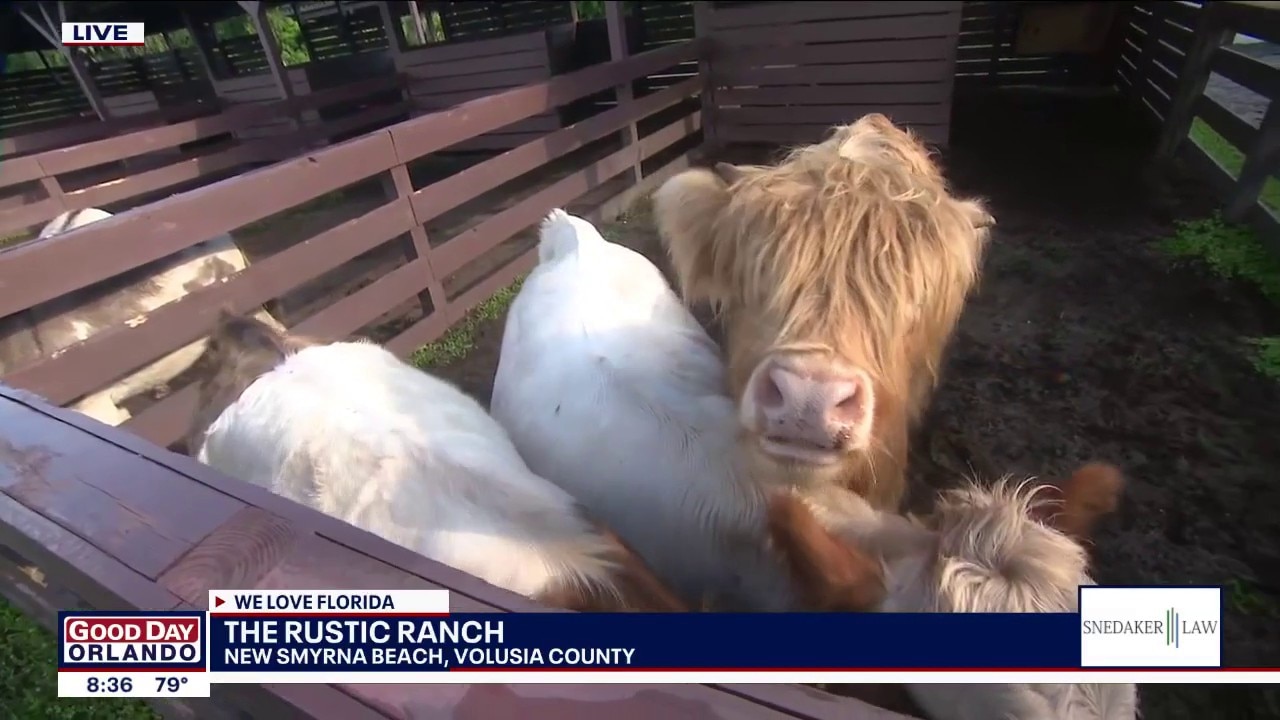 The Rustic Ranch in New Smyrna Beach