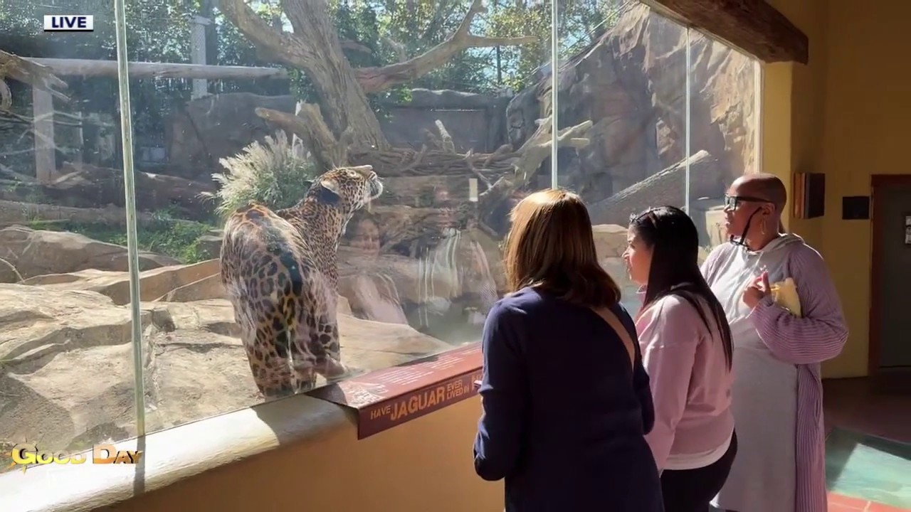 Good Day Uncut: Elmwood Park Zoo