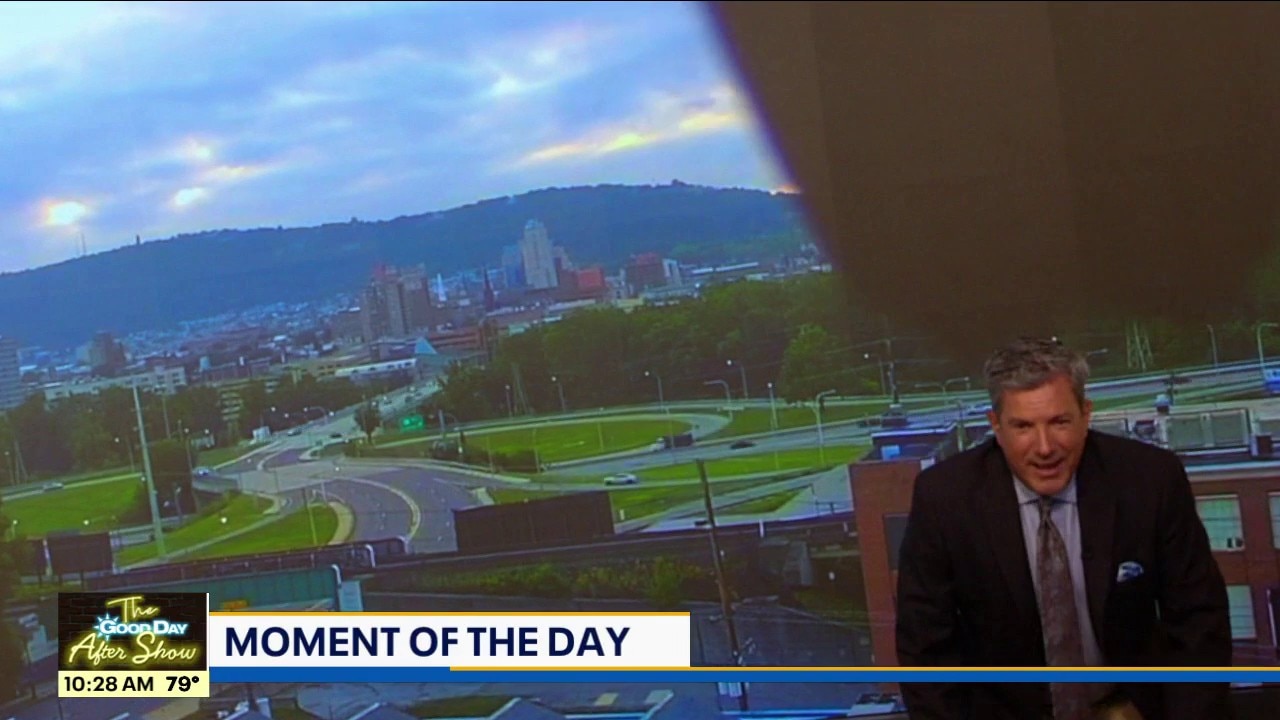 MOMENT OF THE DAY: Bird Cam
