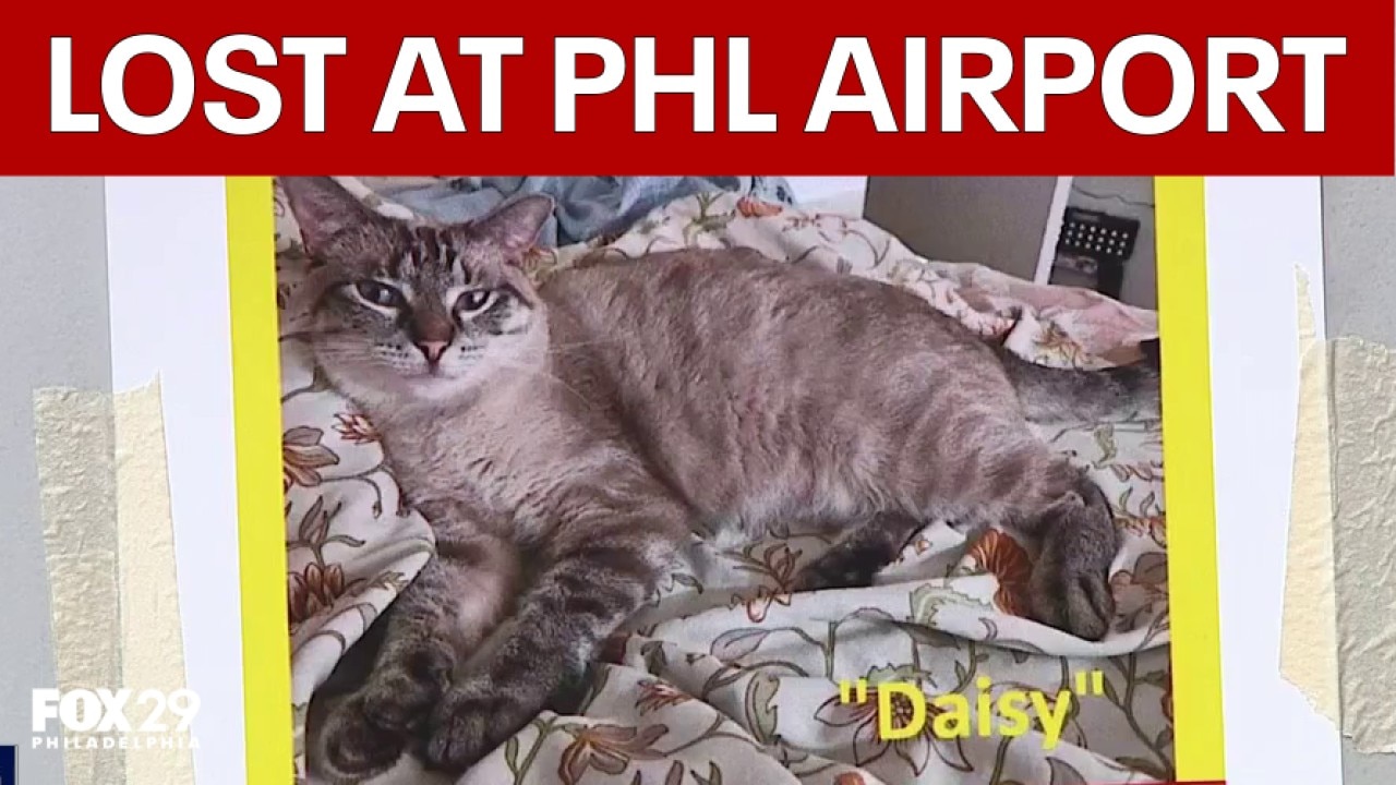 Emotional support cat lost at Philly airport