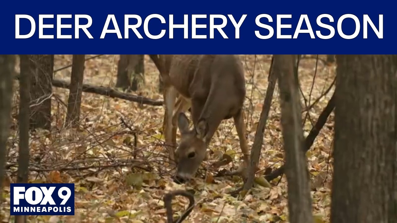 Minnesota deer archery season opens Saturday