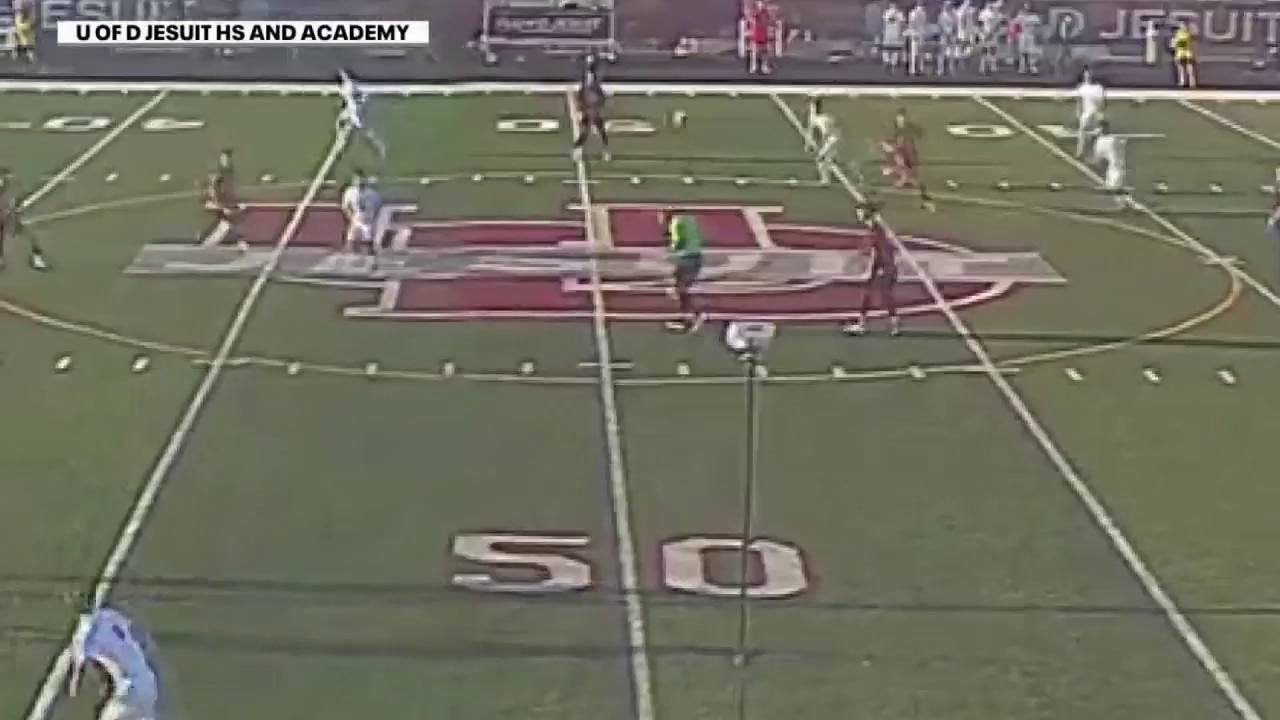 Video: Detroit soccer ref severely injured in freak accident