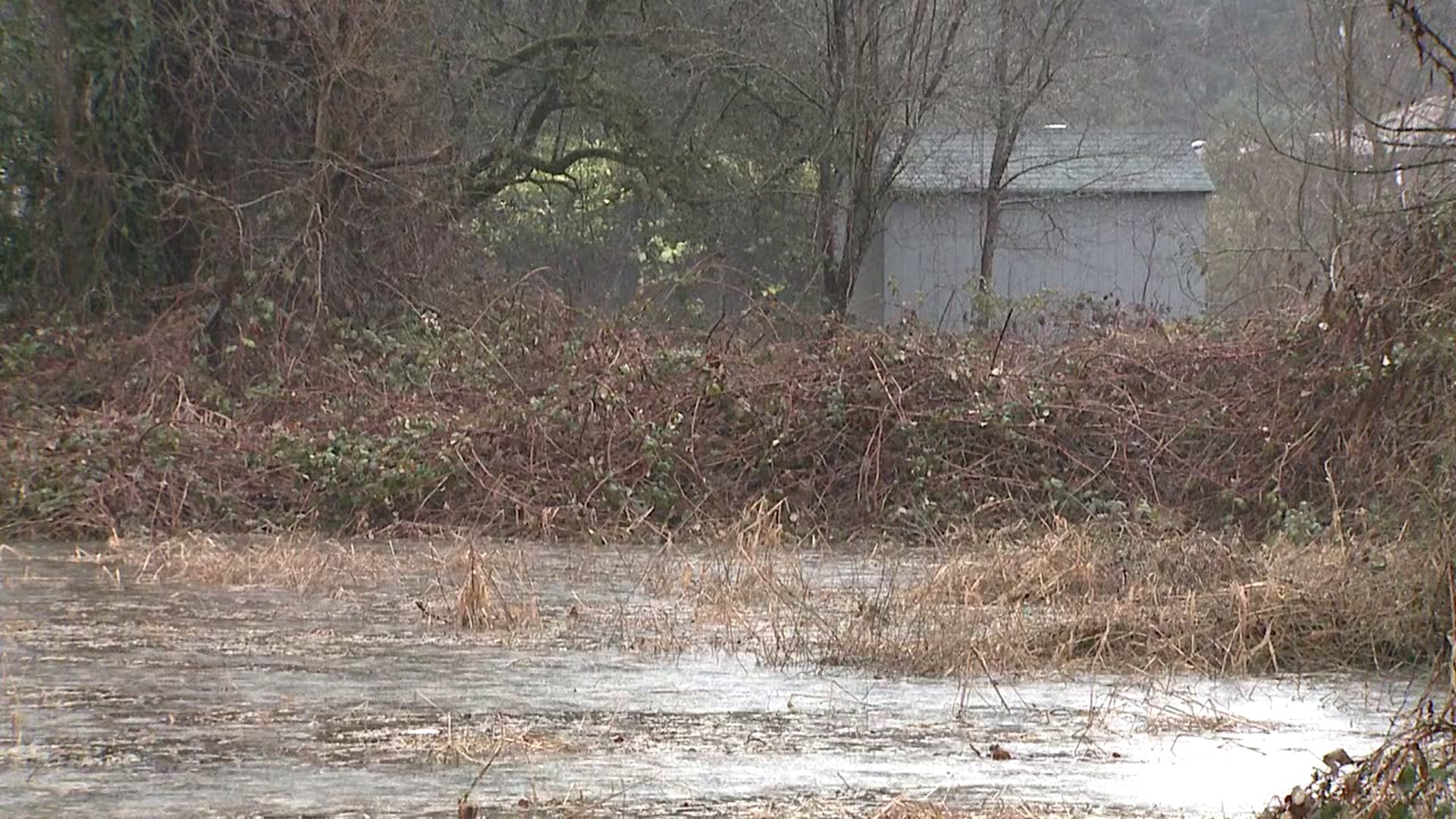 Pierce County flood map