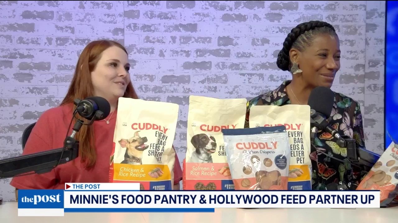 Feeding Pets in Plano | The Post