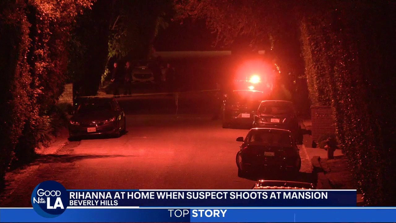 Rihanna's home shot while singer was inside: TMZ