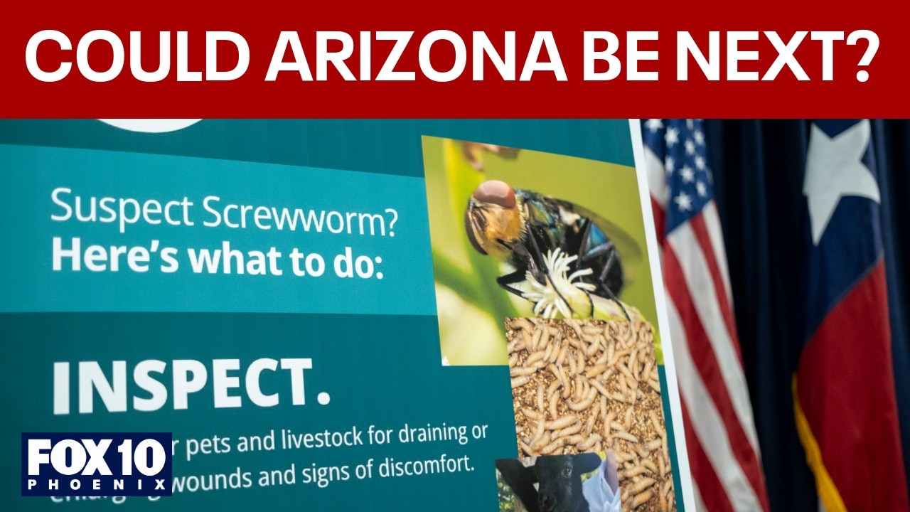 Flesh-eating fly nears Arizona border