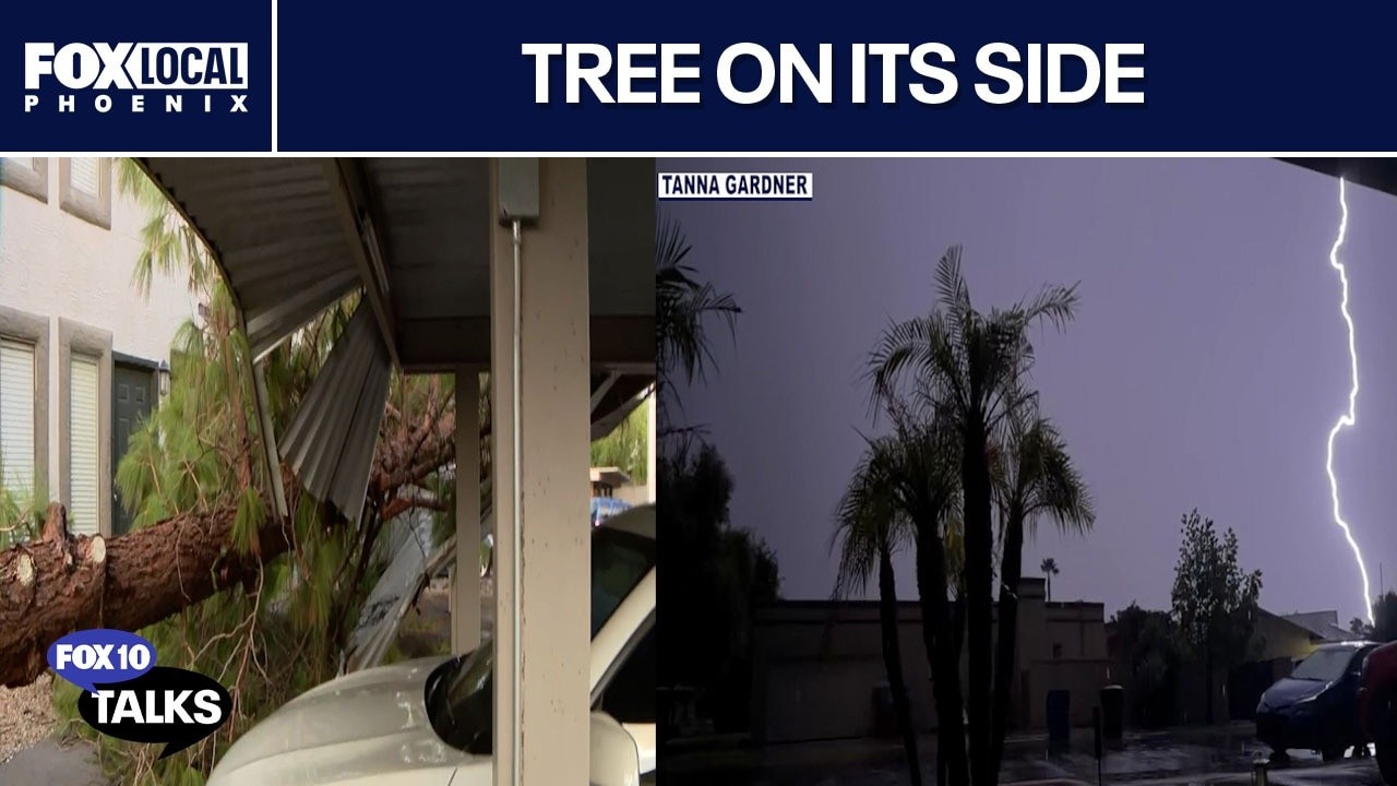 More Valley storm damage; Adrian Fontes in studio | FOX 10 Talks