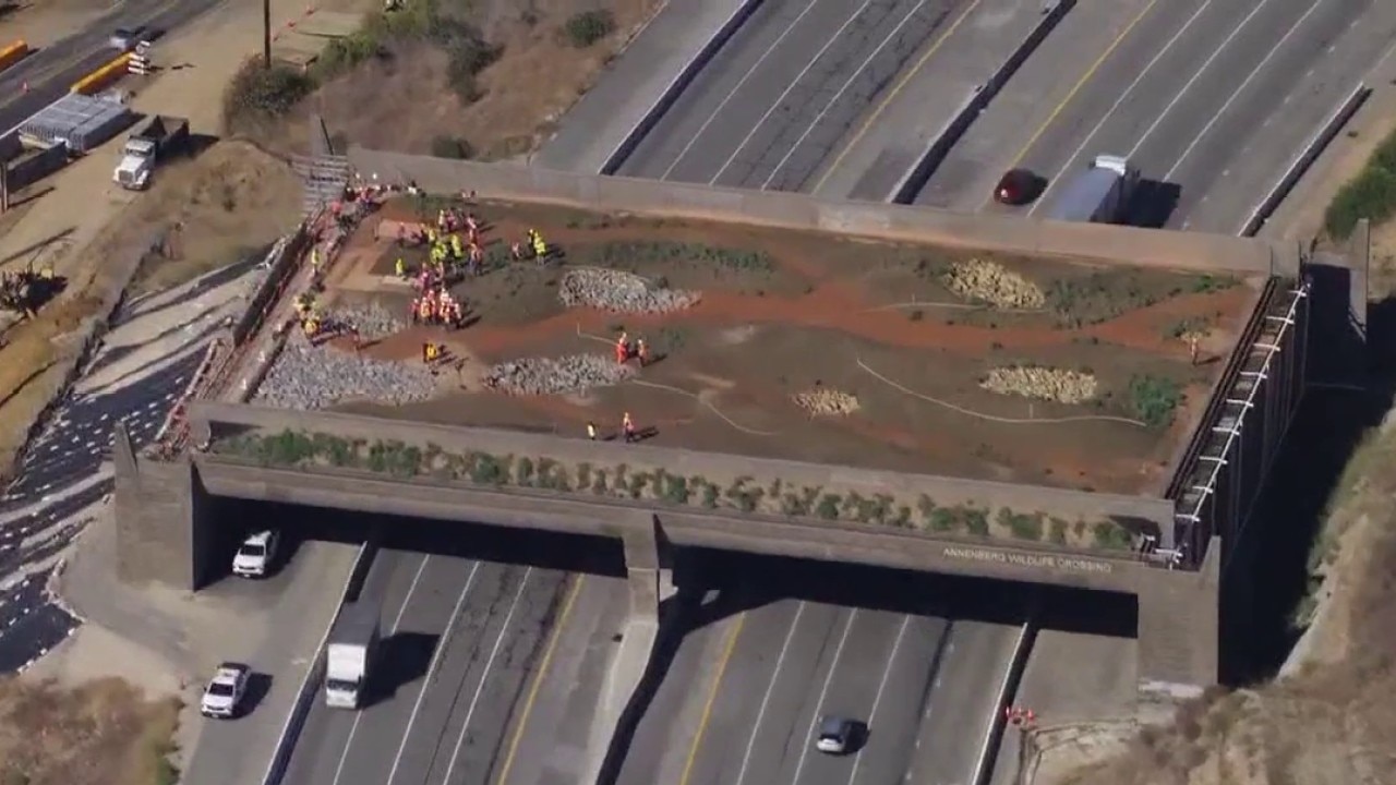 Agoura Rd. closure Friday for wildlife crossing work