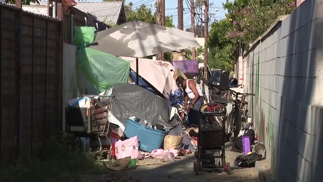 Rising concerns over South LA encampment