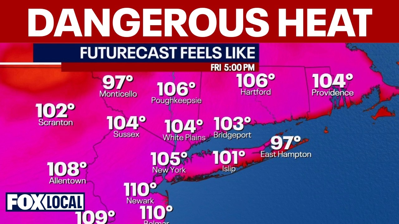 NYC hits 100°: Electric grid strained as temps hit triple digits
