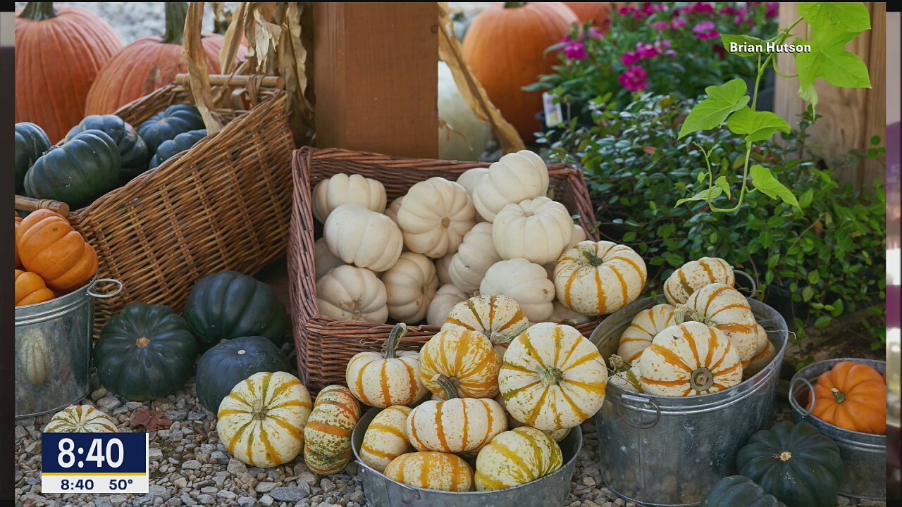 Fall Planting Tips