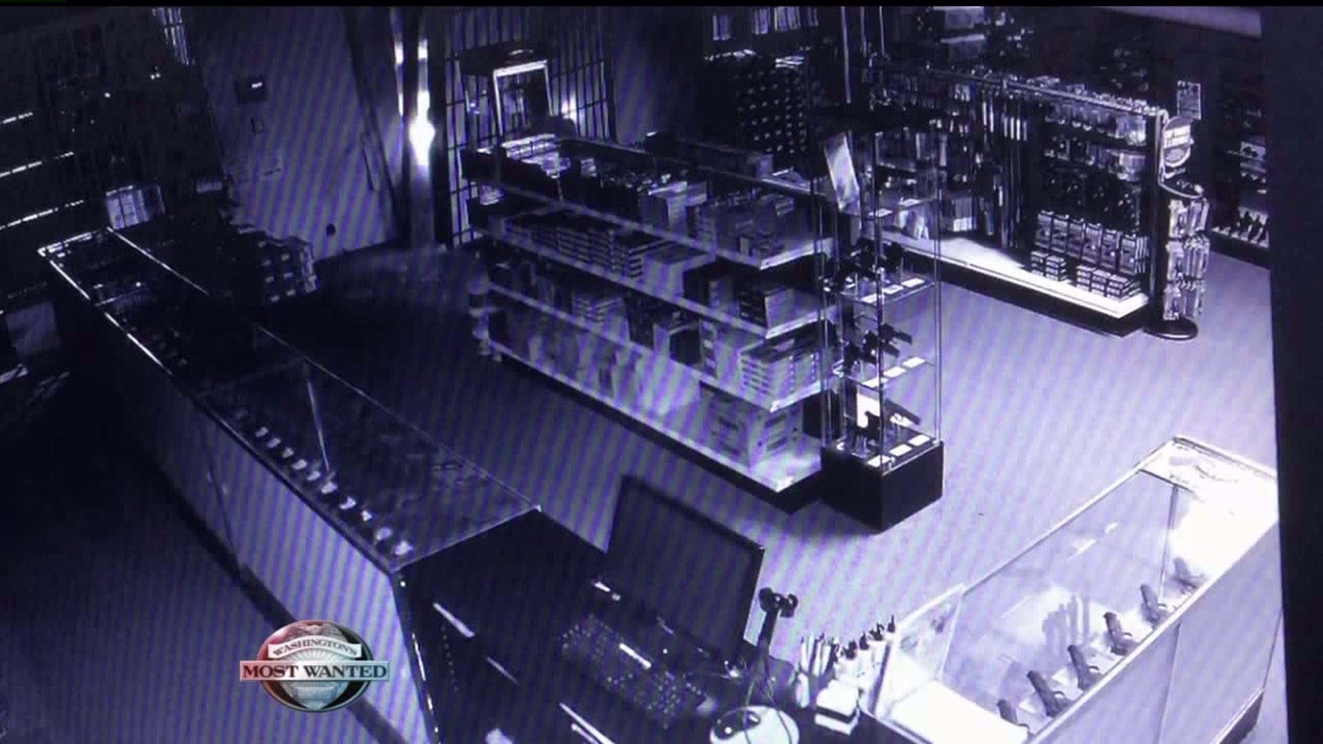 WANTED: Gun store burglars