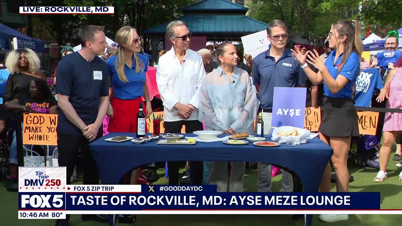 Zip Trip to Rockville: Taste Of Ayse Meze Lounge