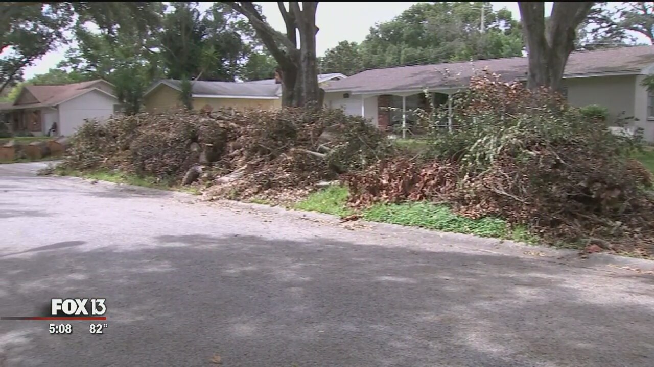 Tampa urges patience with debris pickup