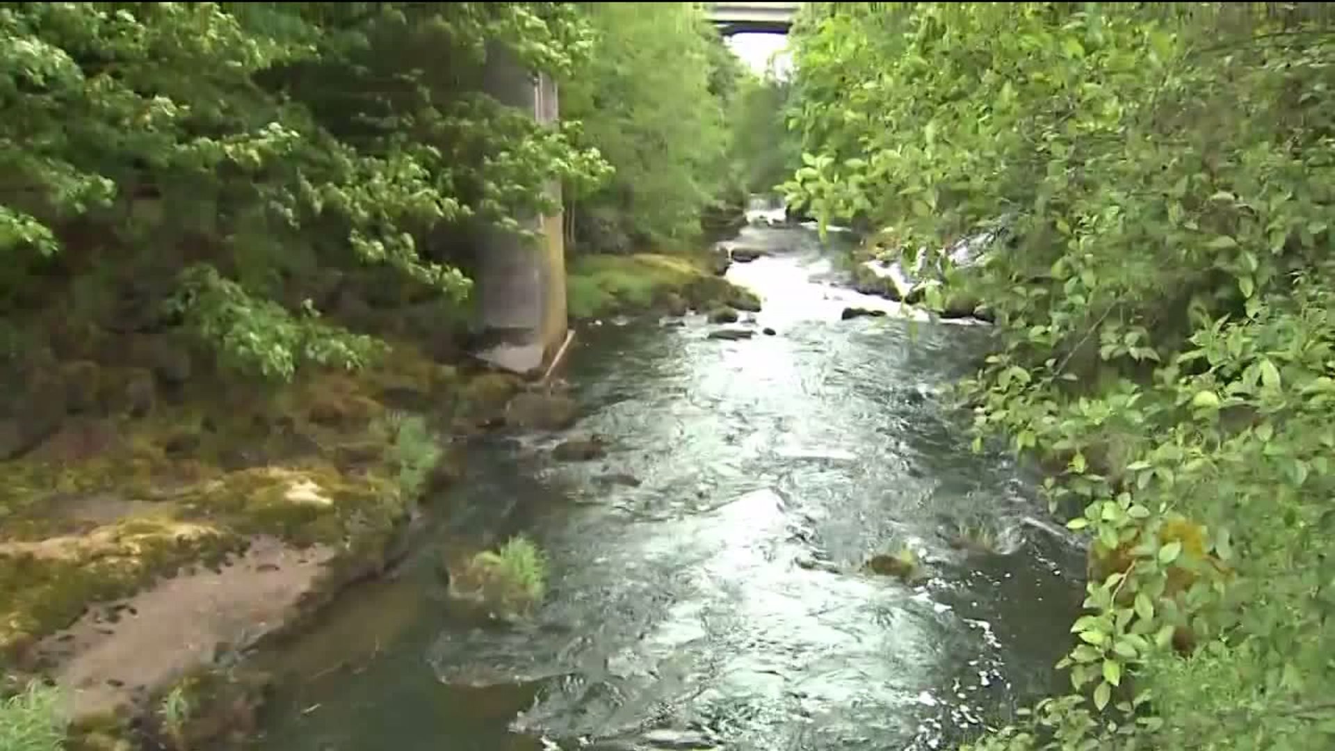 Oil spill cleanup