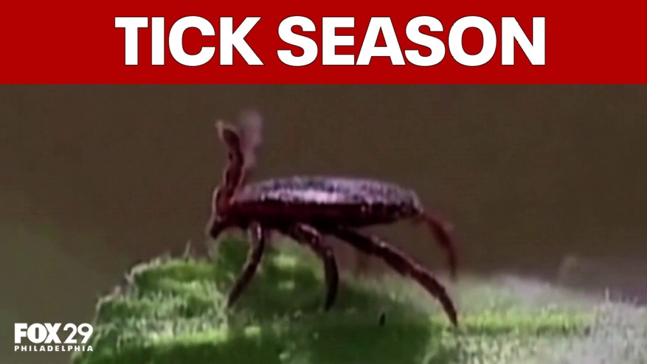 Ticks surge early in Pennsylvania after mild winter  