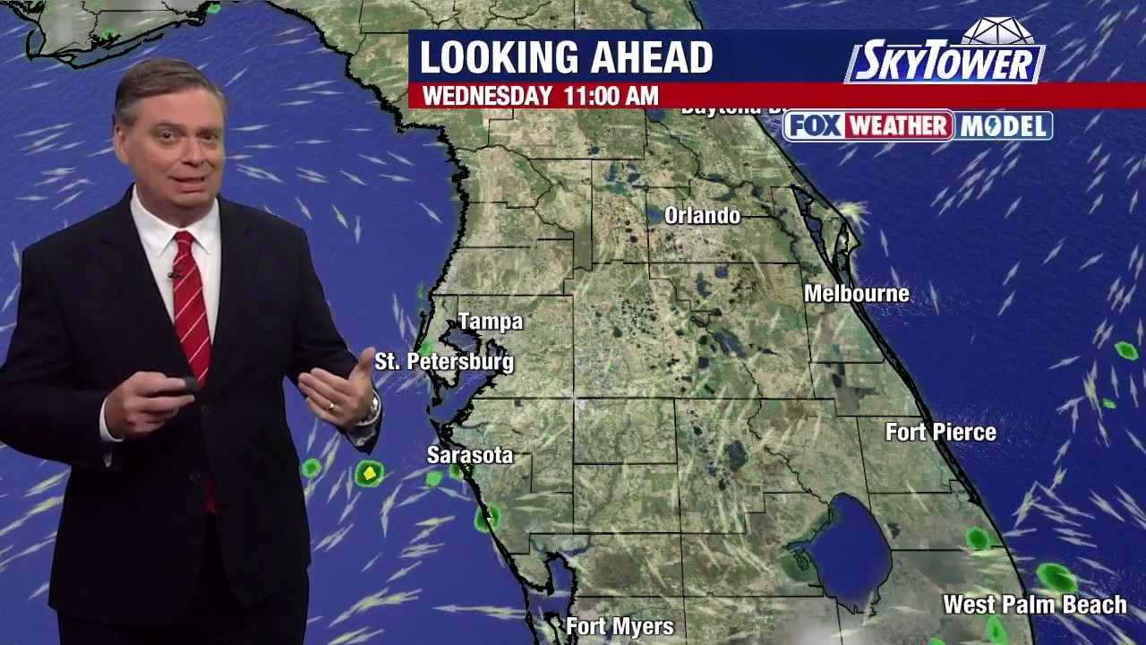Tampa weather | Tuesday evening forecast