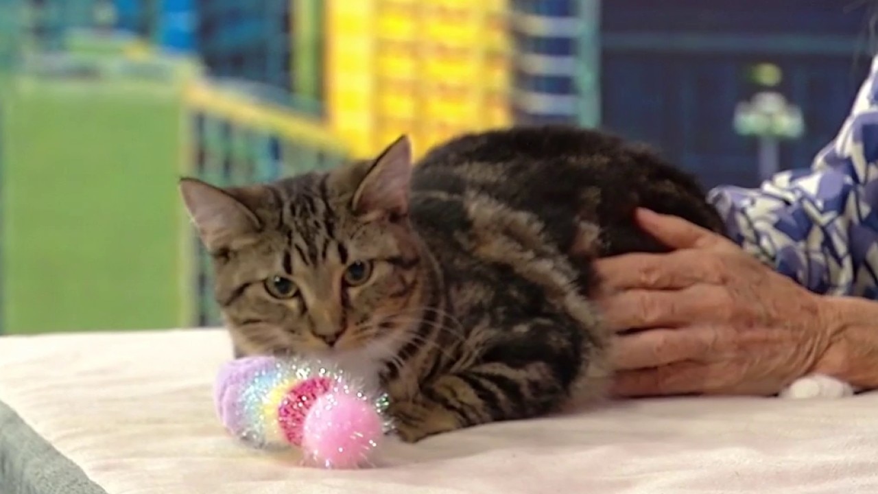 Pet of the day: Flip
