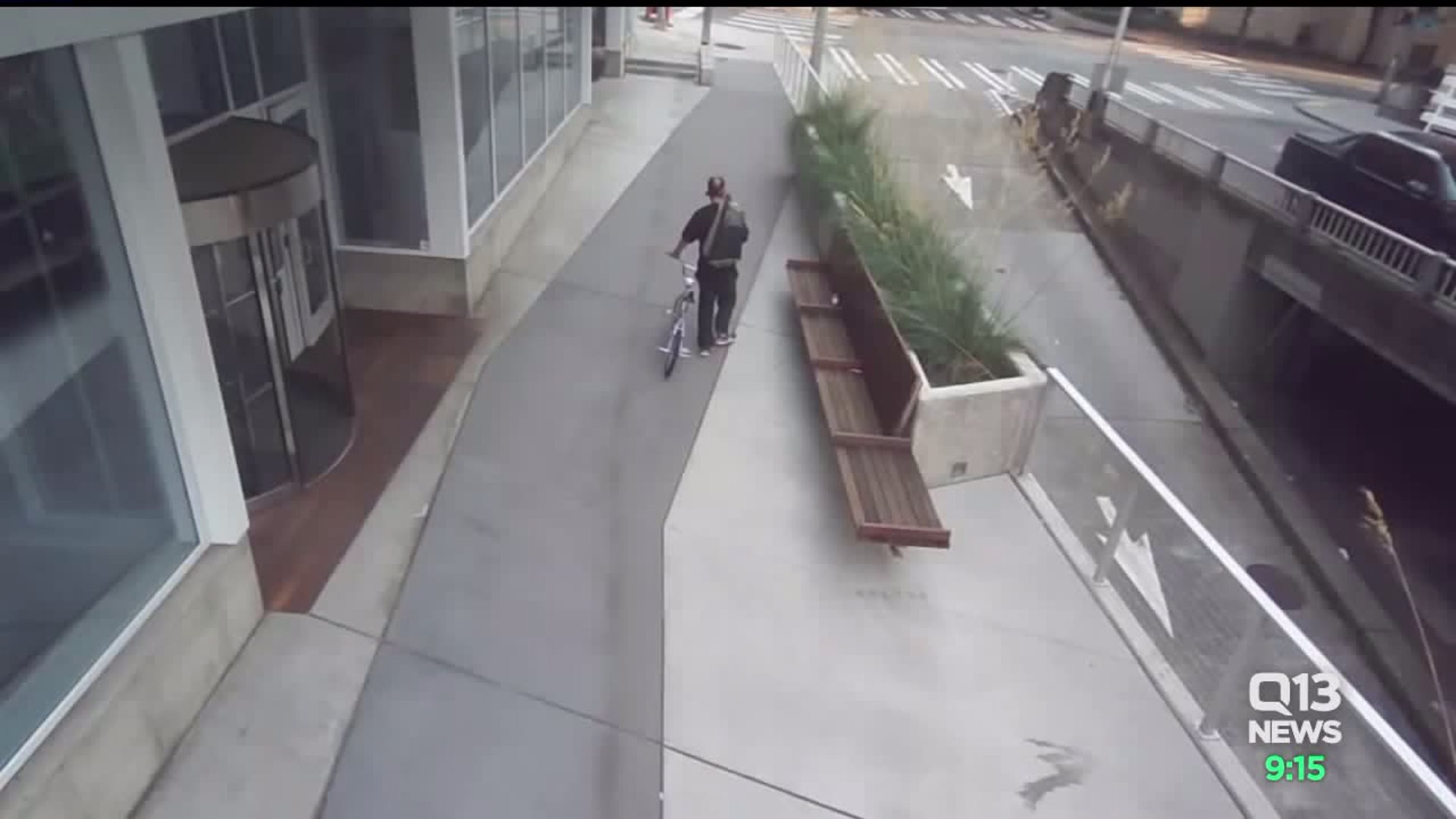 Police seek man who punched woman in face in attempted robbery