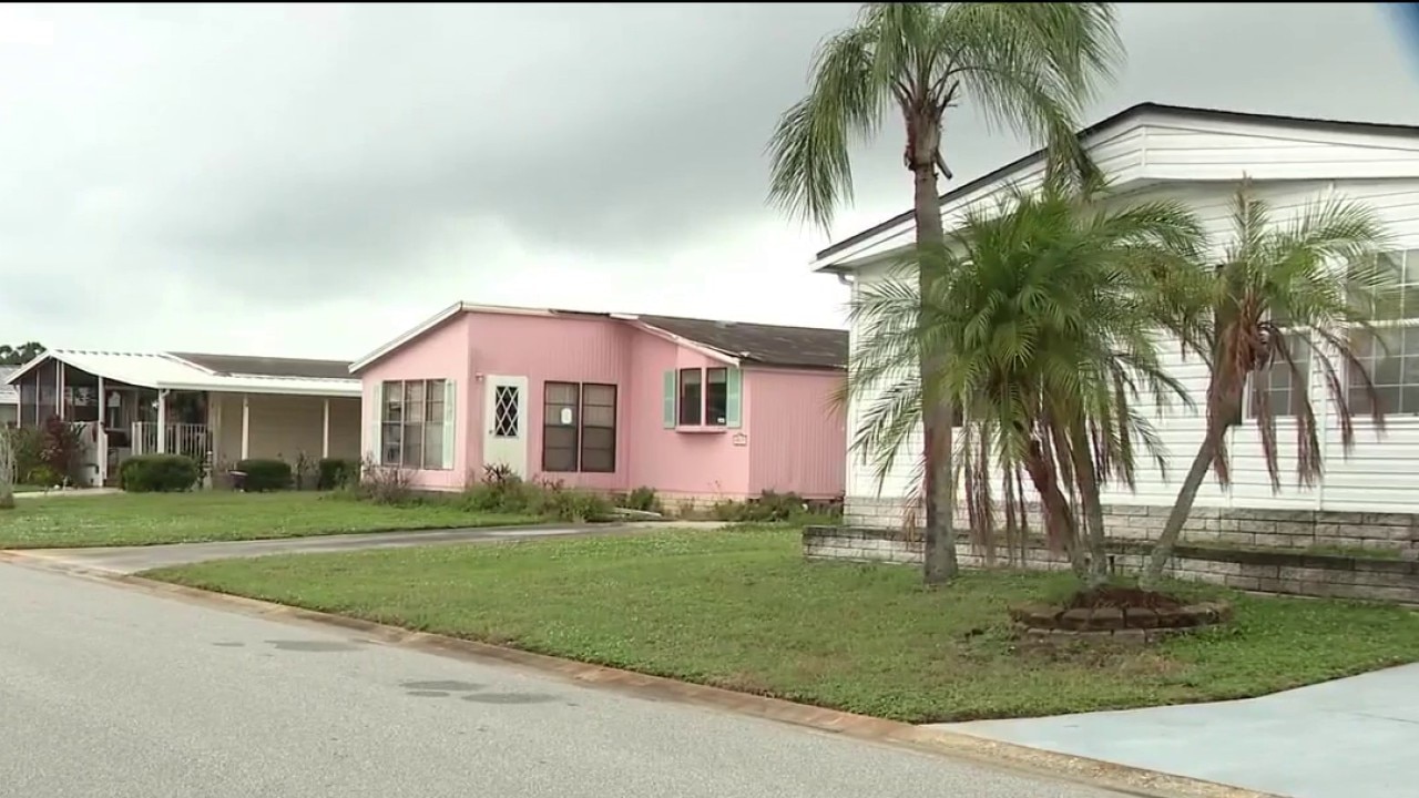 Squatter house nightmare