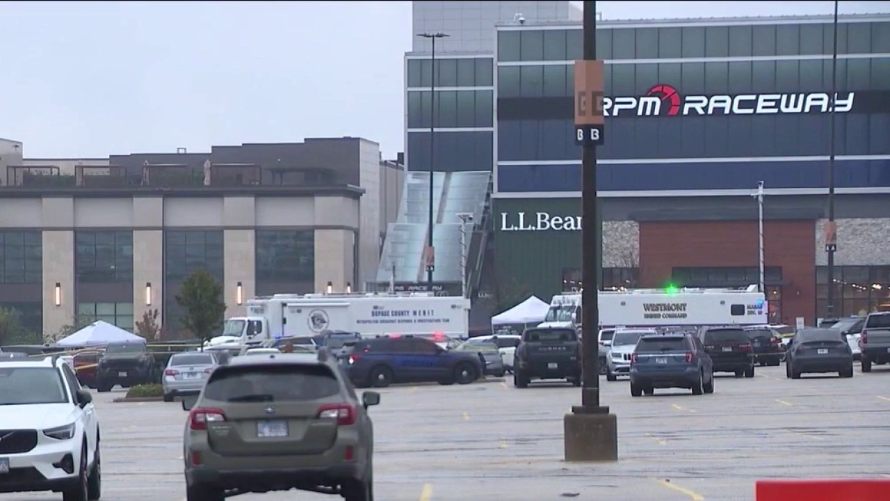 3 released after shooting at popular Chicago-area shopping center: police