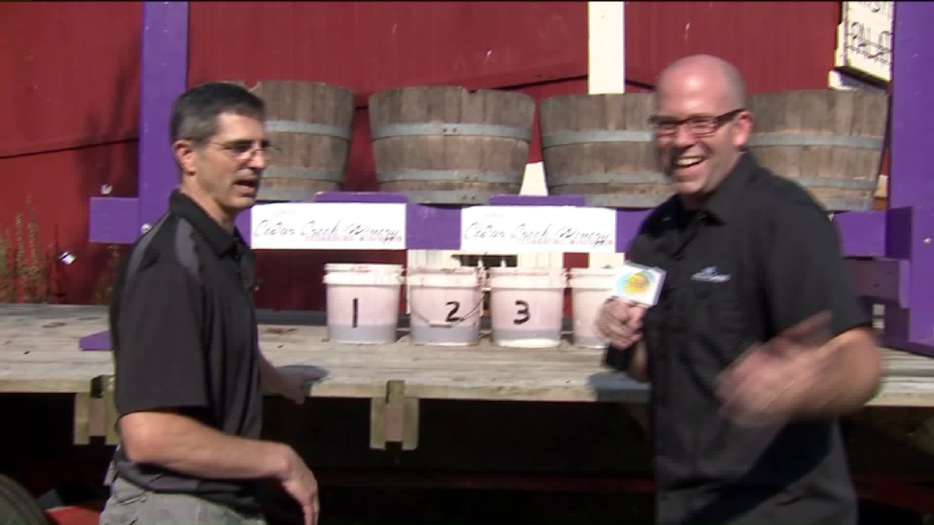 Variety of wines you can enjoy