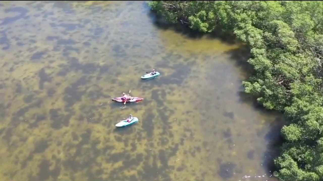 Pinellas County considers defunding two parks