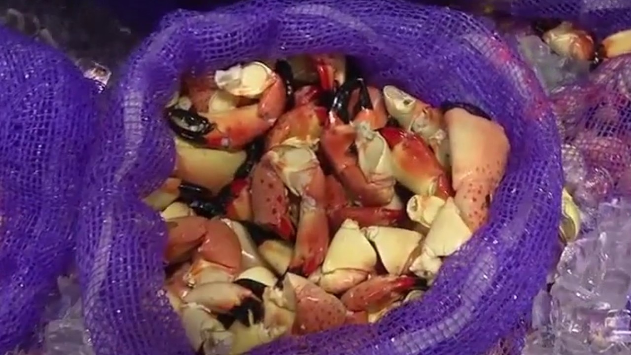 Aripeka Stone Crab Co. in Spring Hill