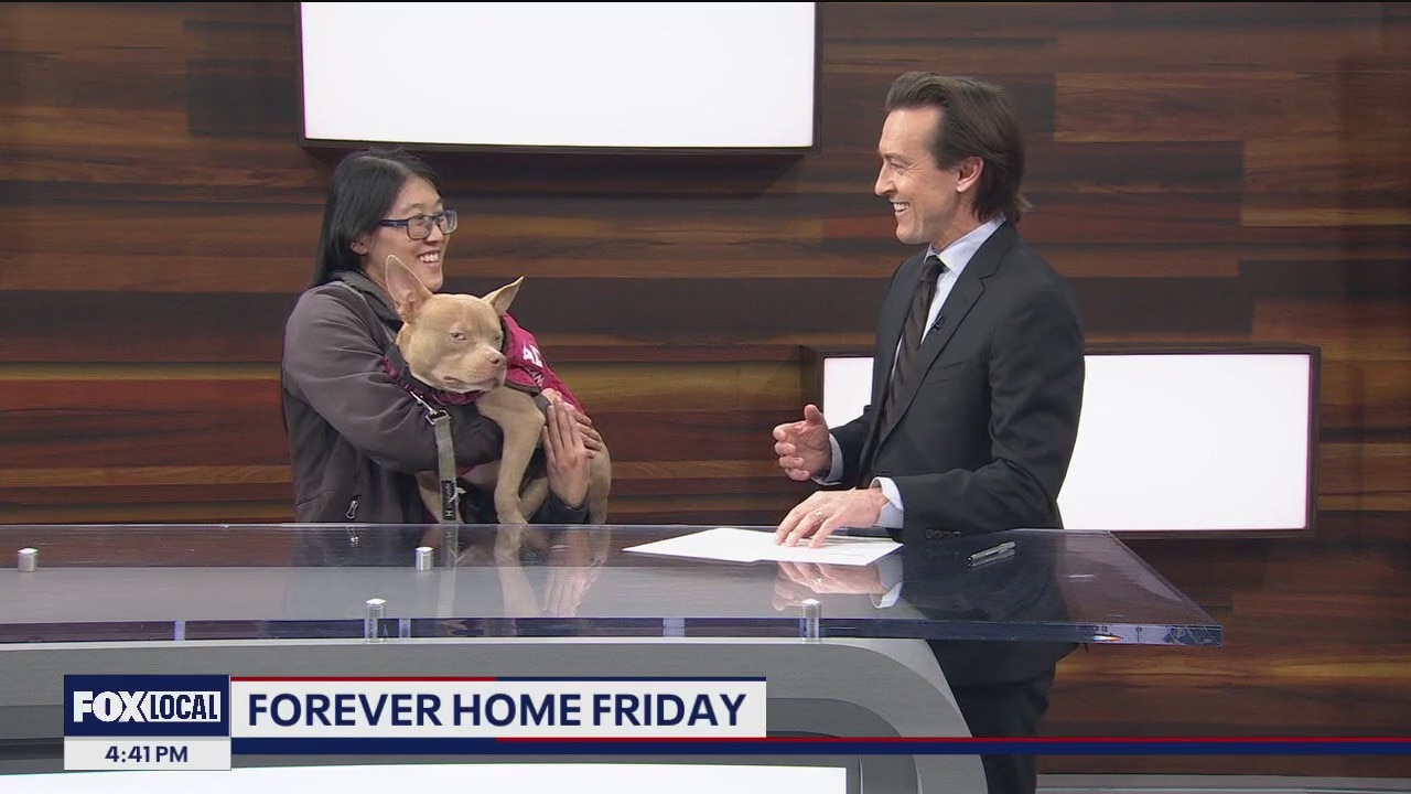 Forever Home Friday: Cowlick