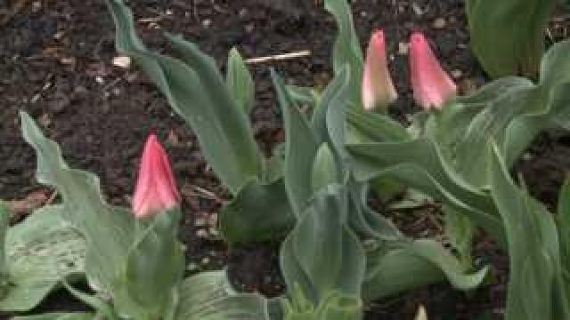 Boerner Botanical Gardens opens for season