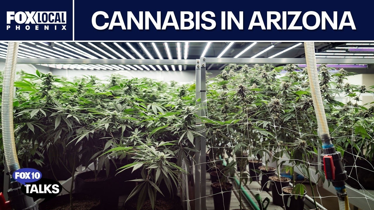 Arizona cannabis exec talks state of the industry