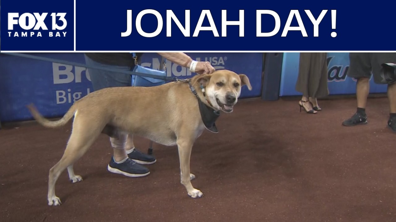 Viral pup Jonah gets VIP treatment at LoanDepot Park