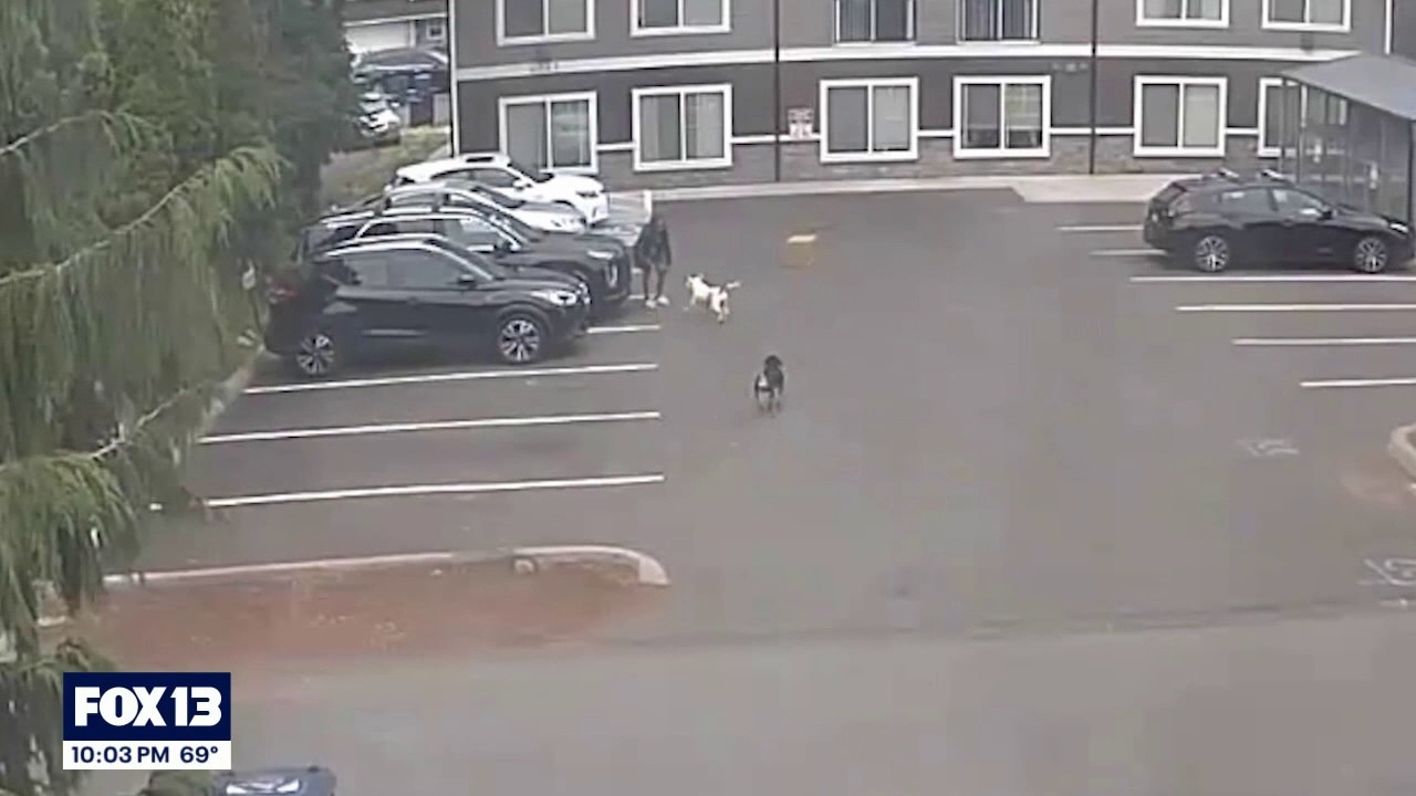 Dogs that attacked pregnant Tacoma woman may not be euthanized