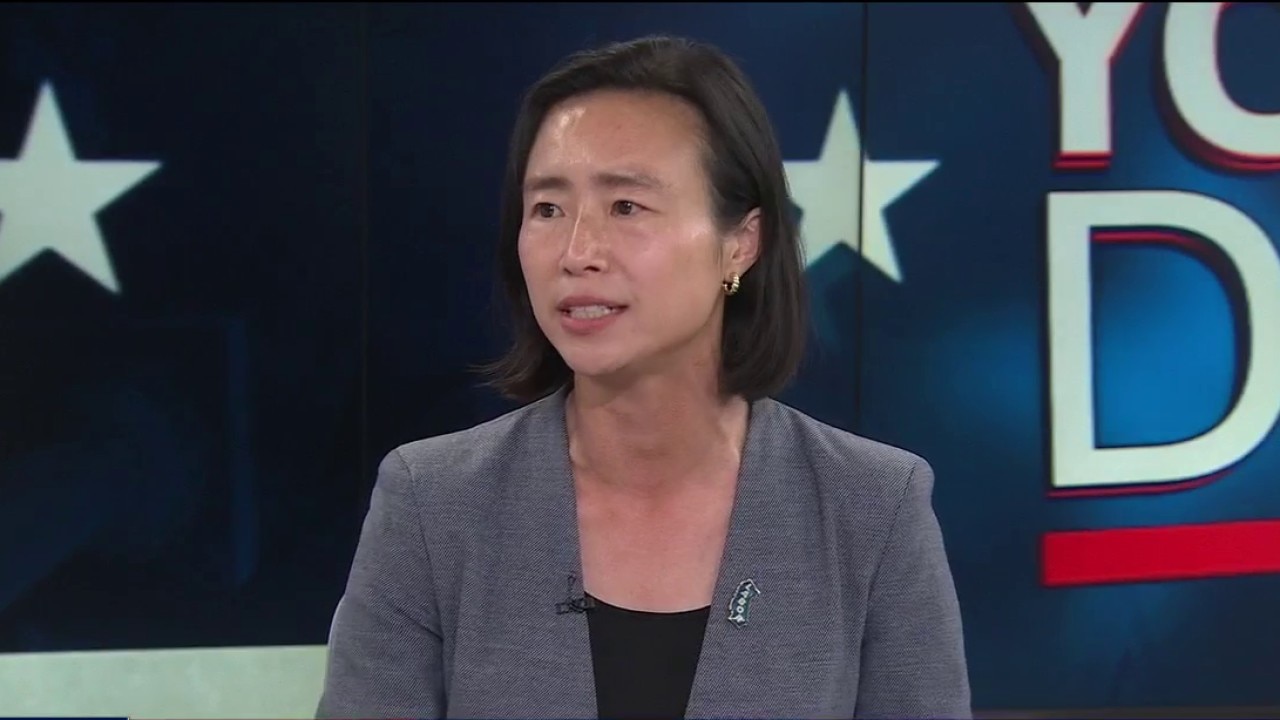 Congressional candidate Connie Chan makes her pitch to California voters