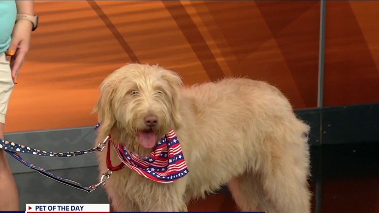 Pet of the day: Princess Paige