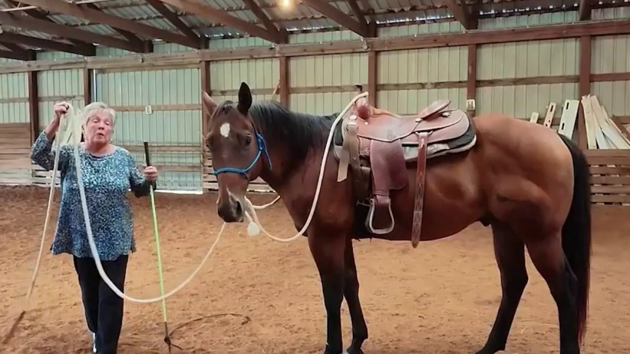 Farmers bring in extra income by offering ranch vacations
