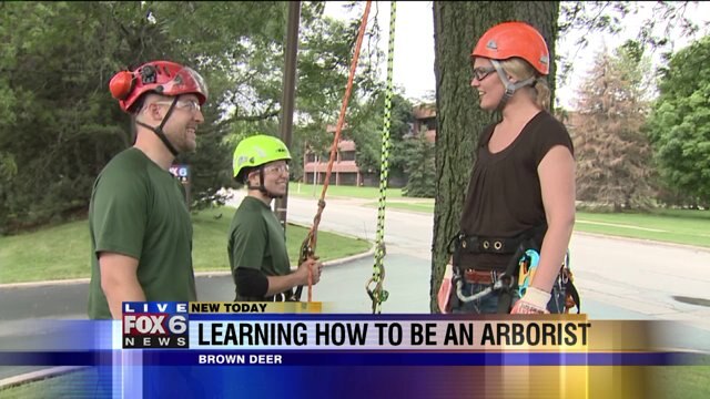 Learning about being an arborist